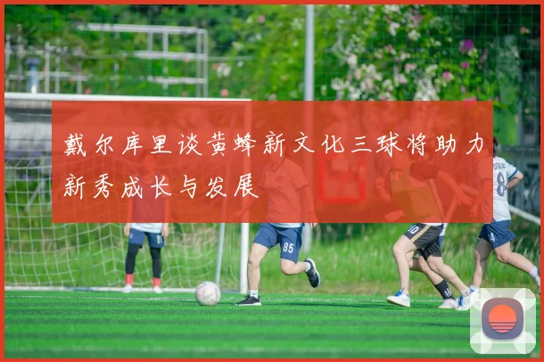 戴尔库里谈黄蜂新文化三球将助力新秀成长与发展