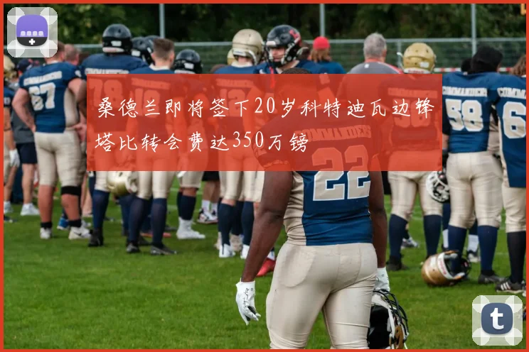 桑德兰即将签下20岁科特迪瓦边锋塔比转会费达350万镑